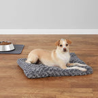 Amazon Basics Cat and Dog Bed and Crate Pad, Machine Washable, Indoor, 23 x 18 x 2.5 inches, Gray