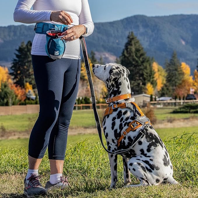 Kurgo G-Train Dog Carrier Backpack - Comfortable Travel Bag for Pets Up to 25 lbs - Waterproof Bottom - Multi-Compartment Pack - Dog Hiking Gear - Rugged Adventure Backpack - Ink Blue