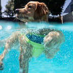 Outward Hound Standley Sport Dog Life Jacket, High-Performance Ripstop Dog Life Vest for Swimming, Boating, and Water Safety, Small, Green