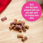 Milk-Bone Mini's Flavor Snacks Dog Treats Bundle: 36 Ounce Canister + 2 Refill Packs