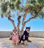 ChoChoCho Woof Dog Hoodie, Designer Dog Hoodies for Small Medium Large Breeds, Art Collection Dog Sweatshirts, Street Drawstring Hoodies Outfit Clothes for Puppy Puppies (5XL, Sakura/Black)