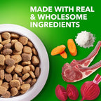IAMS Proactive Health Large Breed Adult Dry Dog Food Lamb & Rice Recipe, 40 lb. Bag