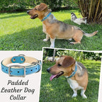 ADITYNA Heavy-Duty Leather Dog Collar for Small Dogs - Soft Padded for Comfort - Blue Dog Collar for Walking, Training, and Hiking