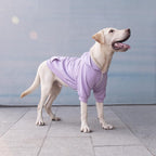 Extra Large Dog Clothes Hoodies Zip Up Sweaters for Big Dogs Labrador Golden Retriever Puppy Purple 2XL