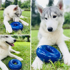 Tuff Pupper SuperChewy Tough Dog Ring Toy | Lifetime Replacement | Strong Natural Rubber | Dog Chew Toys for Aggressive Chewers | Durable Tug Toy | Ring Toys for Strong Dogs | Large Breed Tested