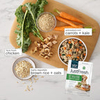 JustFoodForDogs JustFresh Wet Dog Food, Fresh Pet Meals and Toppers with No Preservatives, Resealable Package, Human Grade, Home-Cooked Chicken, 12 oz - 7 Pack