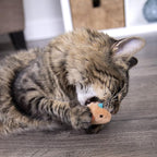 SmartyKat Chickadee Chirp Electronic Sound Cat Toy, Contains Catnip, Battery Powered - Light Brown, One Size