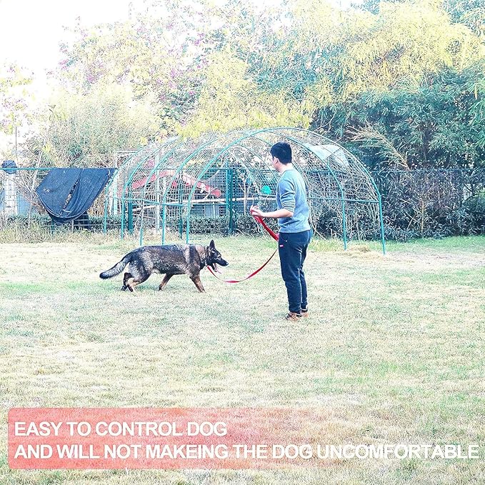 Dog/Puppy Obedience Recall Training Agility Lead - 15ft 20ft 30ft 40ft 50ft Training Leash - Great for Play, Camping, or Backyard (Pink, 20 Feet)