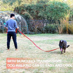 Dog/Puppy Obedience Recall Training Agility Lead - 15ft 20ft 30ft 40ft 50ft Training Leash - Great for Play, Camping, or Backyard (Pink, 20 Feet)