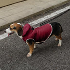 Fleece Lining Dog Hoodie with Harness Built in,Extra Warm Medium Dog Jacket in Winter Doggie Coats with Drawstring Hooded,Red XL