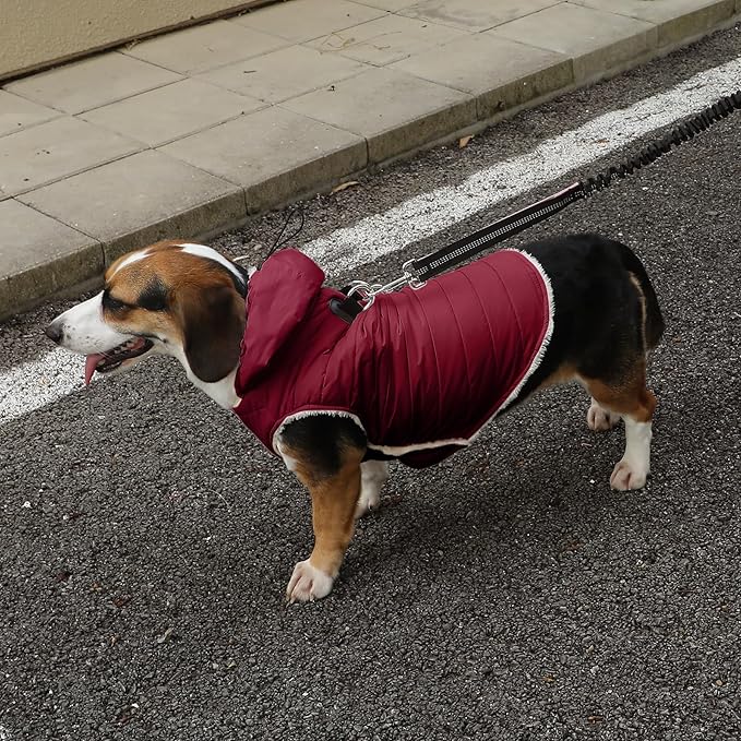 Fleece Lining Dog Hoodie with Harness Built in,Extra Warm Medium Dog Jacket in Winter Doggie Coats with Drawstring Hooded,Red XL