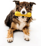 Playology Dog Toys | Durable Squeaky Chew Stick for Dogs | Jumbo Chicken Scented Toy - Easy to Clean and Made from Non Toxic Materials