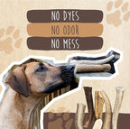 Mighty Paw Split Elk Antlers for Dogs (Sourced in The USA) | 1 Whole Medium 6"+ Long Lasting Bones for Aggressive Chewers - Naturally Shed Split Deer Antler for Dogs - Low Odor Chews (Pack of 1)
