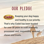 Cadet Gourmet Duck Breast Dog Treats - Healthy & Natural Dog Training Treats for Small & Large Dogs - Inspected & Tested in USA (3 oz.)