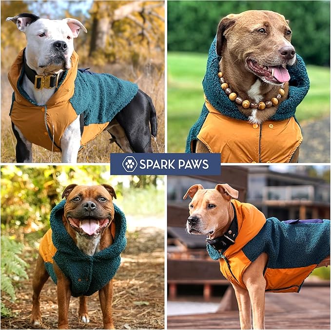 Spark Paws Reversible Dog Sweater, Sherpa Vest with Warm Fleece Lining, Warm Coat for Winter, Suitable for Small Medium, Large, XL XXL Dogs - Orange and Green - XL