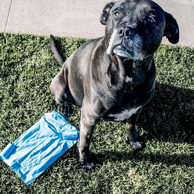 Wooflinen 100% Compostable Dog Poop Bags - EN13432 Home Compost Certified Dog Waste Bags, 120 Count (8 Rolls) - Easy Open - Large and Thick