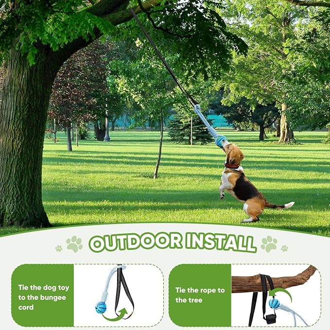 Dog Bungee Toy for Small/Puppies Dogs,Interactive Dog Tug of War Toys Set with Tether, Rope and Ball, Tree Hanging Toy with 2 Chew Ropes,Indoor Spring Pole Ropes,Not for Aggressive Chewers
