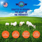 Shepherd Boy Farms Freeze Dried Raw Goats Milk with Probiotics for Dogs & Cats (Golden Blend), Organic USA Veggies & Fruits, High Protein, Digestible Goat Milk Powder, Food Toppers - Makes 16 FL OZ