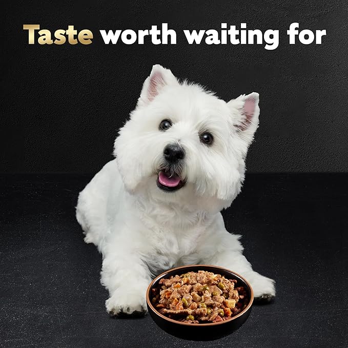 Cesar Home Delights Adult Wet Dog Food, Pot Roast with Spring Vegetables, Beef Stew, Turkey, Green Beans, & Potatoes, and Hearty Chicken & Noodle Variety Pack, 3.5 oz. (24 Count, Pack of 1)