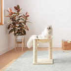 Amazon Basics Cat Condo Tower with Hammock Bed and Scratching Post,Easy to Assemble,Plush Hammock,Interactive Hanging Ball,Durable Sisal Scratch Posts for Indoor Cats, 15.8 x 15.8 x 19.7 Inches, Beige