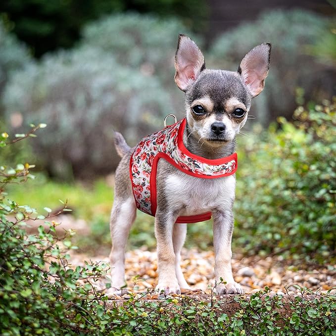 Mile High Life Dog Harness, Air Mesh Floral Vest Harness for 20 lbs Small Dogs & Cats, Easy Get on Adjustable Easy Closures Both Neck and Chest(Red Rose, XS Chest 14"-16")