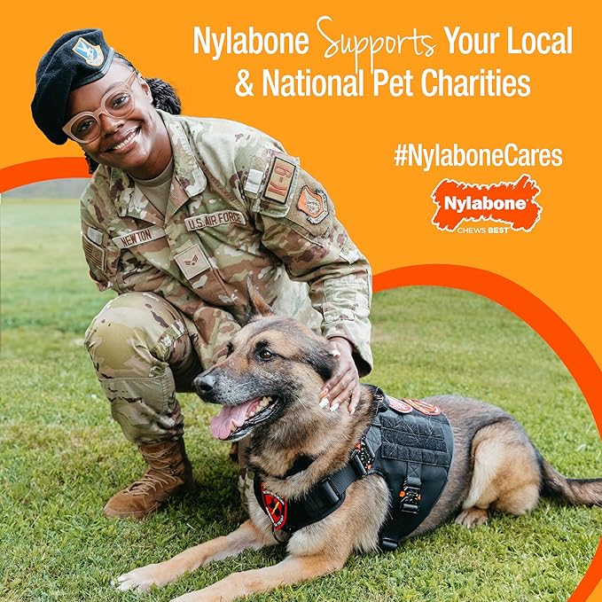 Nylabone Real Wood Stick Toy Strong Chew Toy for Dogs, Rubber Dog Toys for Moderate & Aggressive Chewers, Bacon Flavor, Medium - Up to 35 lbs, 1 Count