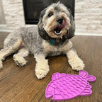 SPOT Soother Lick Mat-Licking Mat for Cats, Kittens, Medium and Large Dogs and Puppies, Food Grade Rubber, Anxiety Reliever, Dog Peanut Butter Lick Pad, Slow Feeder, 9.75inch, Fish (Pack of 2)