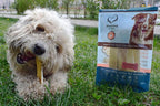 Amazing Dog Treats - Beef Cheek Strips Premium Dog Chew (6 Inch - 12 Pack) - NO Odor - Thick Cut - Rawhide Alternative - Beef Cheek Slice Chip Sticks - No Dyes, Chemicals, or Preservatives