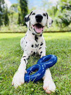SuperChewy Tough Dog Double Ring Toy | Lifetime Replacement | Strong Natural Rubber | Great Dog Pull Toy for Exercise | Tug Toys for Dogs | Ultra Durable Chew Toys for Aggressive Chewers