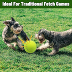 Magicorange Squeaky Tennis Ball Dog Toys 4 inch Oversize Giant Tennis Ball for Fetch Exercise, Natural Rubber Squeaky Dog Balls Training Safe (Multicolor, 4 Pack)