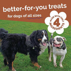 Fruitables Whole Jerky Bites, Grilled Bison & Apple Dog Treats, Healthy Dog Treats, Limited Ingredients, No Corn, Wheat, or Soy, Puppy Essentials, 5oz