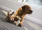 goDog Wildlife Rabbit Squeaky Plush Dog Toy with Chew Guard Technology, Durable Fabric & Squeaker for Active Play, Brown, Large