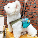 Dog Treat Pouch for Pet Walking and Training with Clicker Poop Bags and Three Bags Design Small Fanny Zipper Pack Holder for Puppy Snack Dispenser Kit for Leash and Outdoor Use (Green)