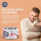 Pure Cravings Salmon Flakes in Tuna Consommé, Canned Wet Cat Food Soup, 100% Mercury-Tested, Moist Can Fish, Grain-Free Protein, Non-GMO, 3oz, Pack of 12