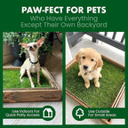 Fresh Patch Mini Real Grass Patch for Dogs, Cats, and Small Pets Under 8 Pounds – Disposable Pet Grass Pee Pads – Indoor and Outdoor Potty Training Mat (12 Inches x 16 Inches)