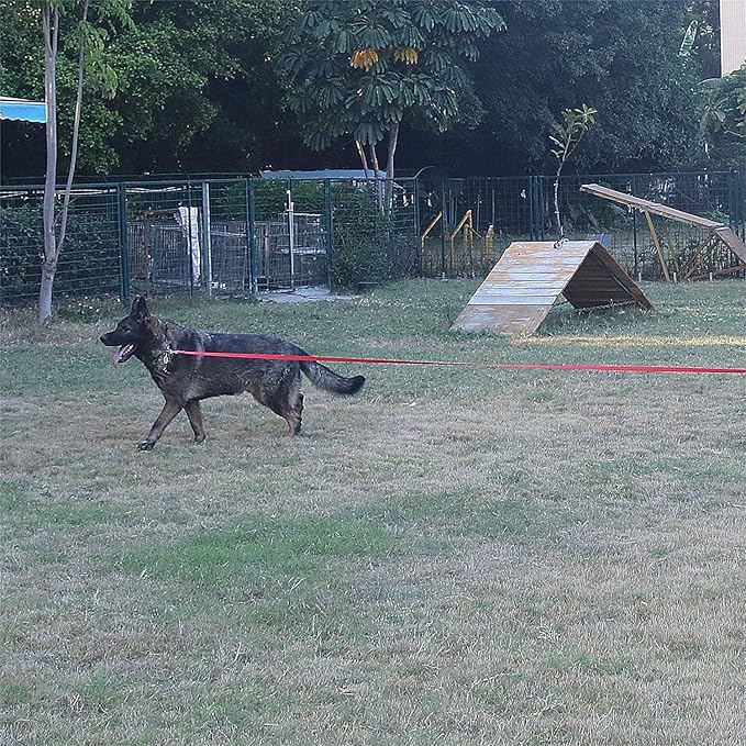 Dog/Puppy Obedience Recall Training Agility Lead - 15ft 20ft 30ft 40ft 50ft Training Leash - Great for Play, Camping, or Backyard (Military Green, 40 Feet)