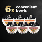 Cesar Wholesome Bowls Adult Wet Dog Food, Beef, Chicken, Carrots, Barley & Green Beans Recipe and Chicken, Apple & Sweet Potato Recipe Variety Pack, 3 oz. (6 Count, Pack of 1)