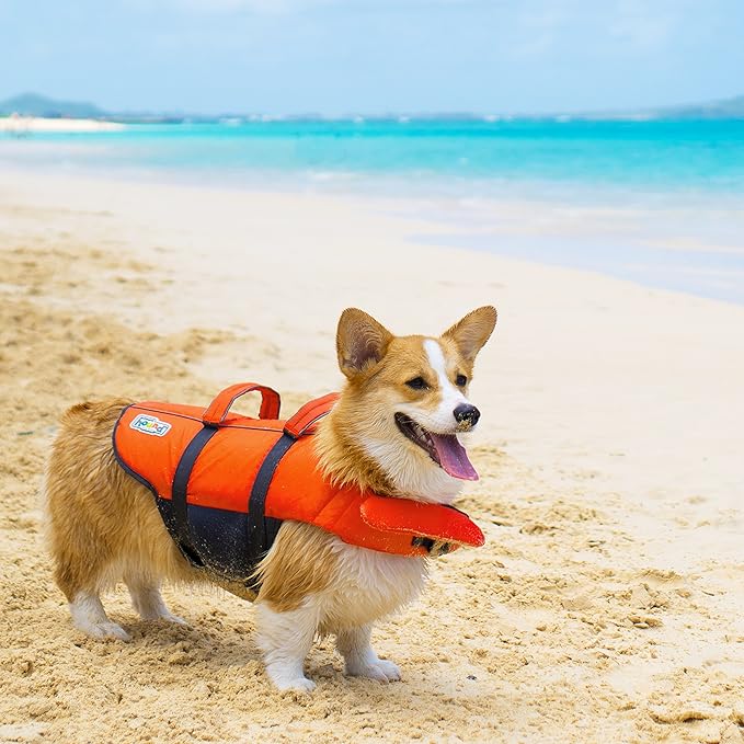 Outward Hound Granby Splash Dog Life Jacket, High-Buoyancy Dog Life Vest for Swimming, Boating, and Water Safety, Medium, Orange