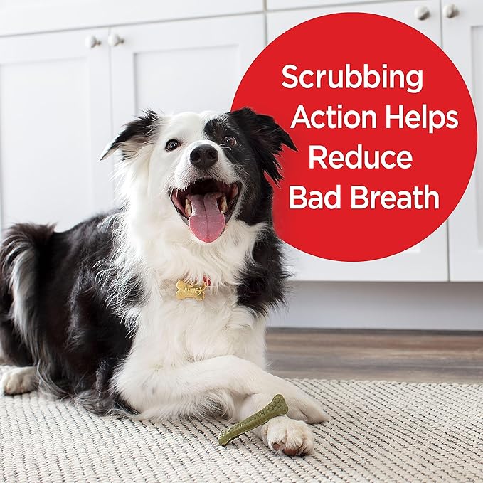 Milk-Bone Brushing Chews Daily Dental Dog Treats, Fresh Mint Flavor, Small/Medium, 25 Count