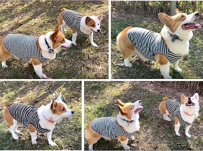 Koneseve Dog Shirt Vest Lightweight Stretchy Dog T-Shirt Soft Cool Shirts Sleeveless Stripe Vests Breathable Clothes for Puppy Kitty Cats Small Medium Large Dogs 2 Pack Black + Grey [XL/Extra Large]