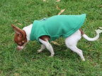 JACKO & CO - Fleece Vest Dog Sweater with Leash Ring - Soft, Warm & Lightweight Pullover Coat for Small & Medium Dogs, Puppies & Cats - Cozy Fall/Winter/Spring Pet Jacket (Green, Large 10-16lbs)