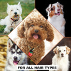 Wahl USA 4-in-1 Calming Pet Shampoo for Dogs with a Lavender Chamomile Scent – Cleans, Conditions, Detangles, & Moisturizes - Pet Friendly Formula – 64 Oz - Model 821000-050