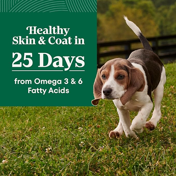 Nutro Natural Choice Lamb & Brown Rice Puppy Food Dry Recipe, 4.5 lb. Bag