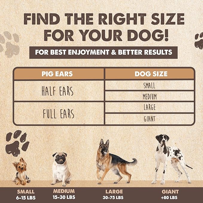 Mighty Paw Full Pig Ears for Dogs | All Natural Treats. Single Ingredient Pet Treat. Better Than Rawhide Dog Snacks for Puppy & Large/Medium Breeds. Pigs Ear Chews (12 Pack)