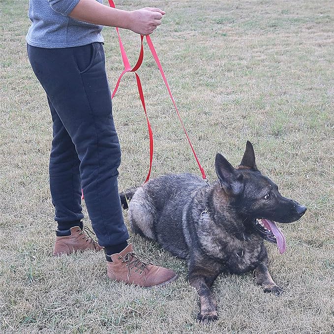 Dog/Puppy Obedience Recall Training Agility Lead - 15ft 20ft 30ft 40ft 50ft Training Leash - Great for Play, Camping, or Backyard - Blue 50ft (Blue, 50 Feet)