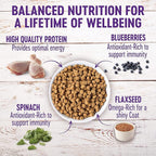 Wellness Complete Health Dry Puppy Food, Chicken, Salmon & Oatmeal, 30-Pound Bag