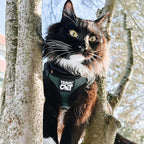 Travel Cat The Emerald Explorer Limited Edition Green Harness and Leash Set - Adjustable Fit Mesh Cat Harness with Reflective Strap - Escape Proof Harness for Cats, Kitten (Medium)