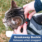 GoTags Personalized Cat Collar with Embroidered Name and Number, Safety Breakaway Buckle Snag-Proof Design, Adjustable Customized Nylon ID Collar with Bell for Cat or Kitten, 5 Color Options
