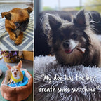 Earthbones (Formerly Terrabones) Dental Chews, Dog Teeth Cleaning Treat, Large, 6 Treats