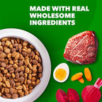 IAMS Proactive Health Adult Dry Dog Food Beef and Rice Recipe, 30 lb. Bag